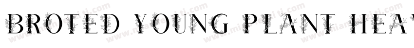 Broted Young plant Heavy字体转换